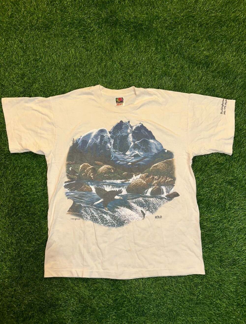 Fruit of the Loom T-Shirt Size L Eagle Waterfall Nature Graphic Vintage